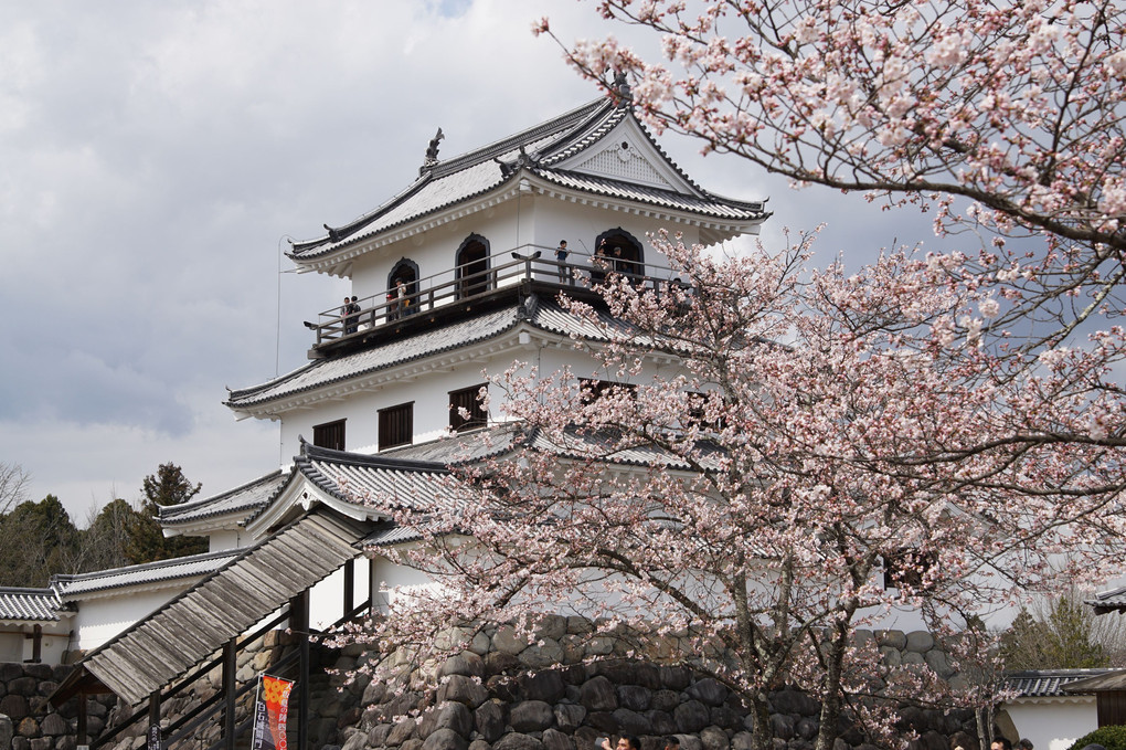 白石城桜祭り