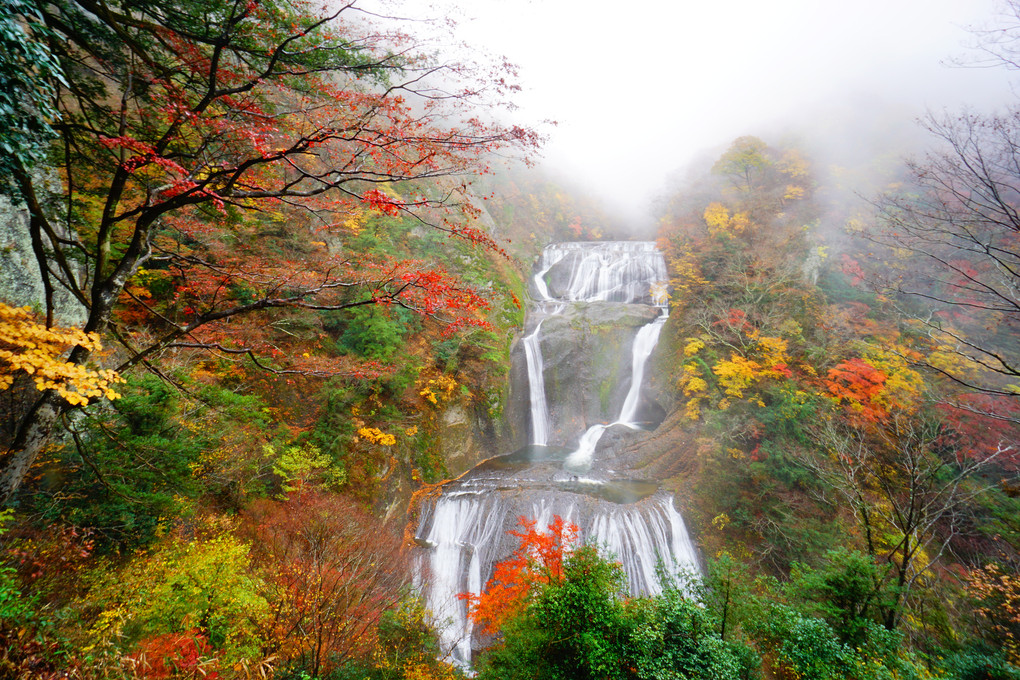 秋雨の宴ー袋田の滝ーその１