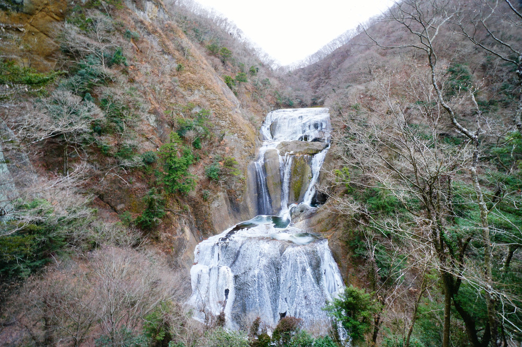 袋田の滝（冬）