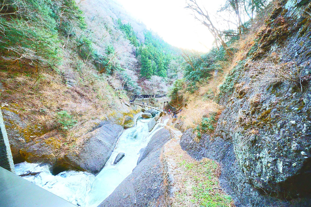 袋田の滝（冬）