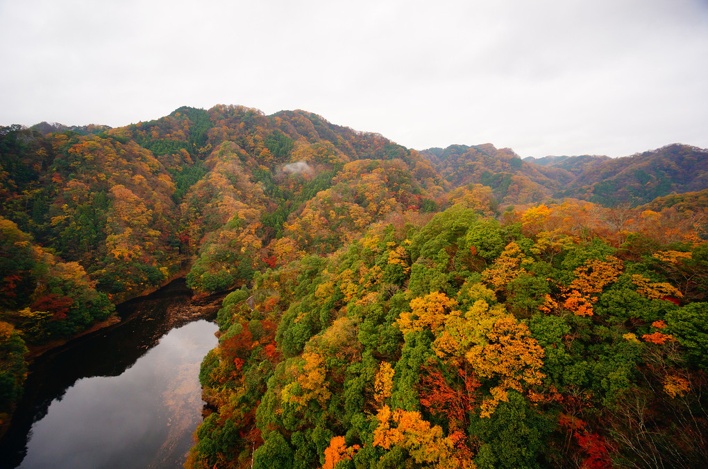 秋にこだまする絶叫ー竜神大吊橋の秋の風景ー