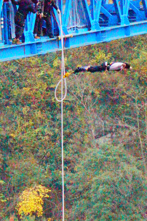 秋にこだまする絶叫ー竜神大吊橋の秋の風景ー