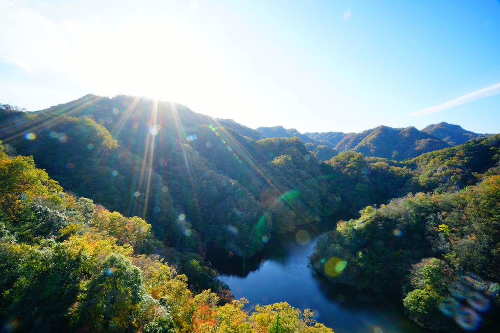 秋の竜神大吊橋