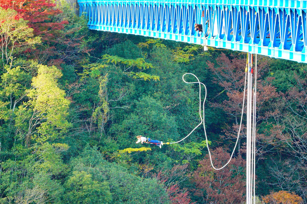 秋の竜神大吊橋　第三弾　ラストです。