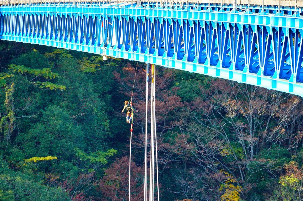 秋の竜神大吊橋　第三弾　ラストです。