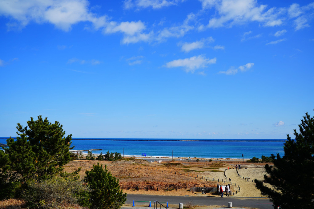 国営ひたち海浜公園のあちらこちら