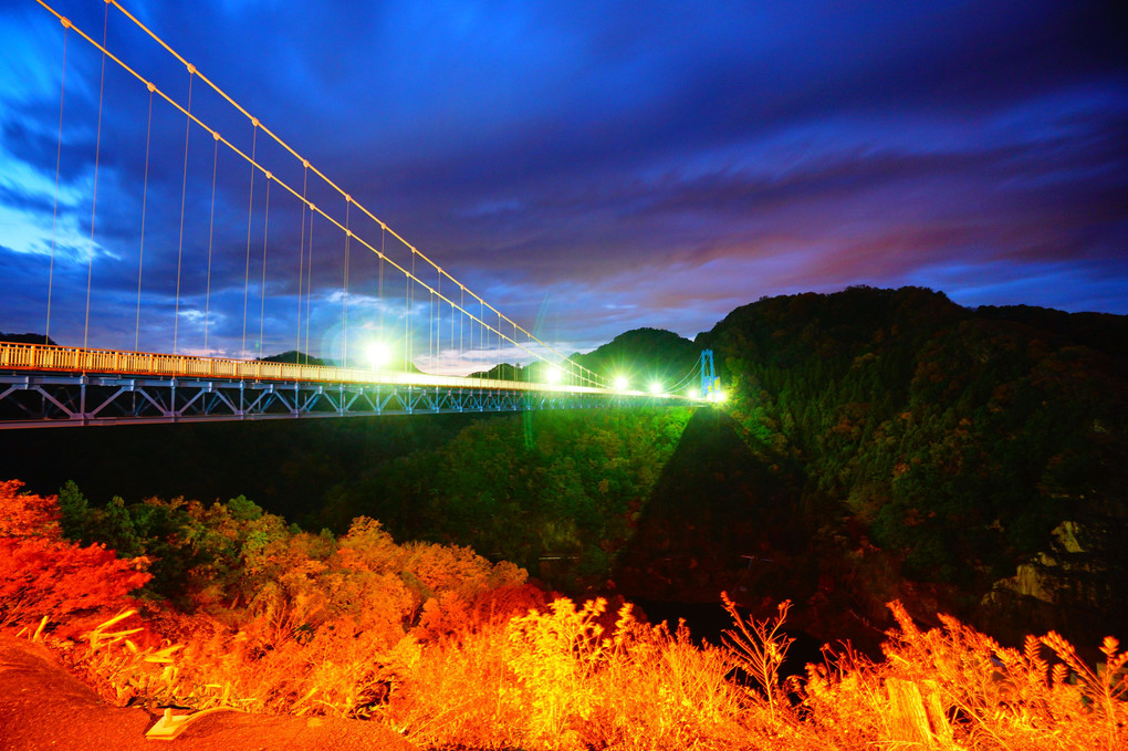 竜神大吊橋の夜景
