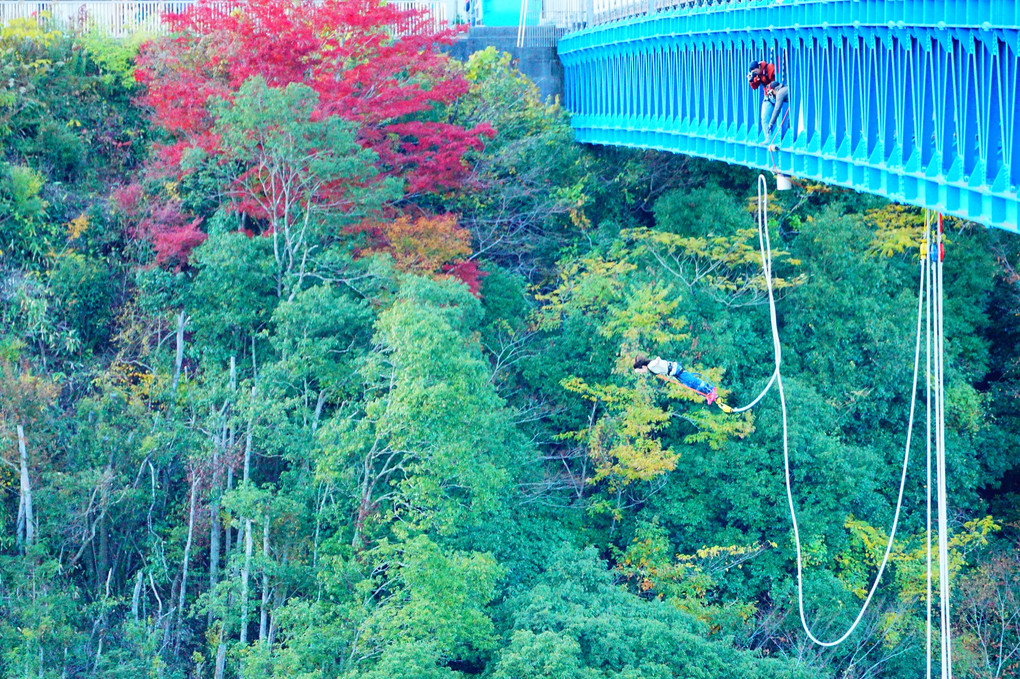 100mの高さからのバンジージャンプ、これは日本一の高さです。