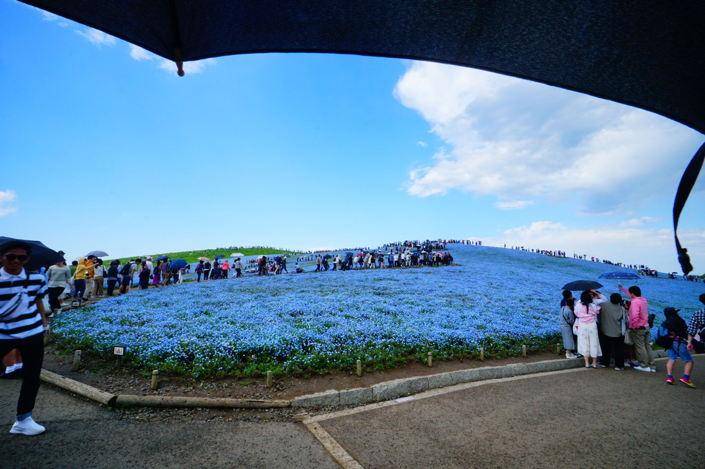 晴れ時々雨の予報当たる!!