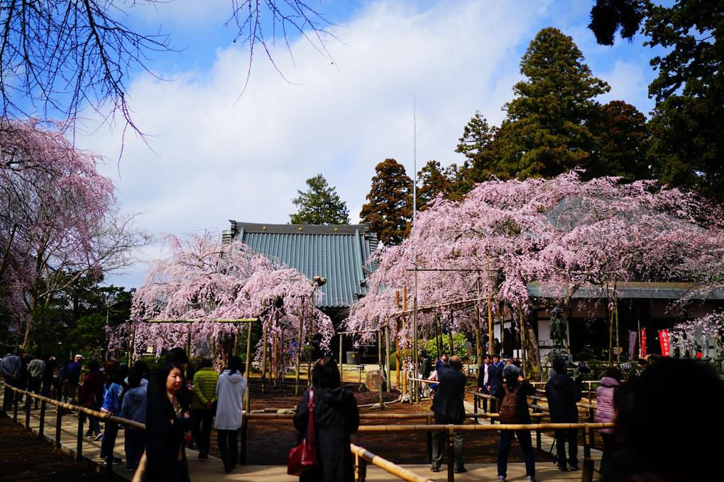 水戸市六地蔵寺