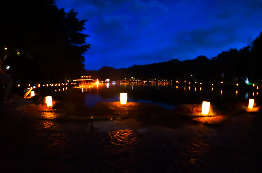 奈良燈火会