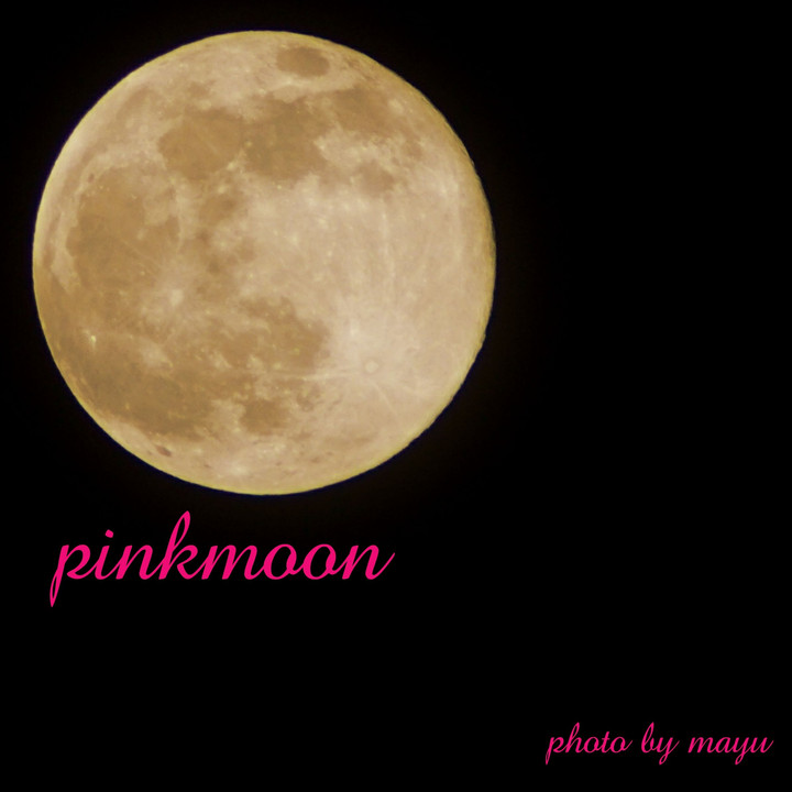 pinkmoon