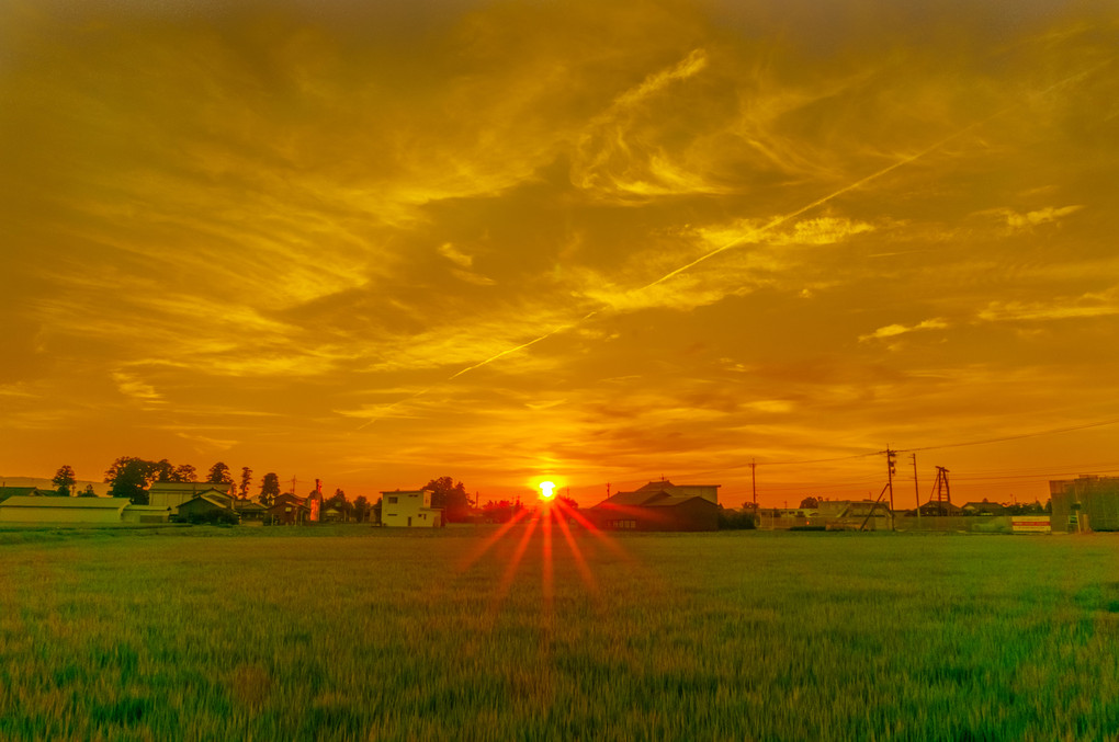 降り注ぐ夕日　Drenched sunset