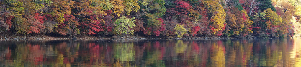 紅葉のパノラマ