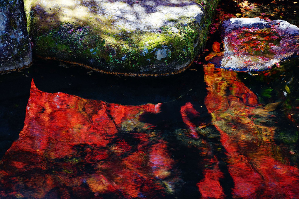 赤映の池