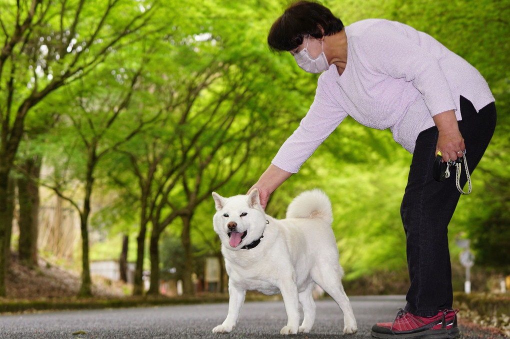 お山は、もう直ぐ新緑シーズン到来ですねェ～！　Ｂｙ蘭丸(#^.^#)