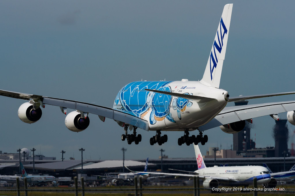 ANA A380 FlyingHONU @5/29NRT