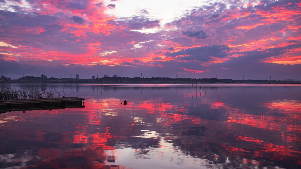 西印旛沼の夕景