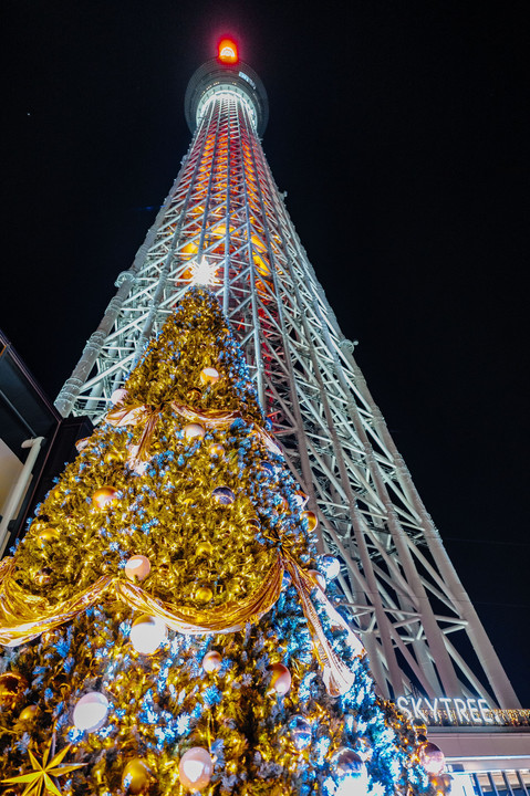 TOKYO CHRISTMAS SKY TREE