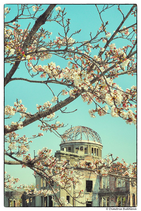 Spring Has Come to Hiroshima