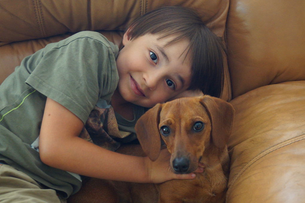 A Boy and His Dog