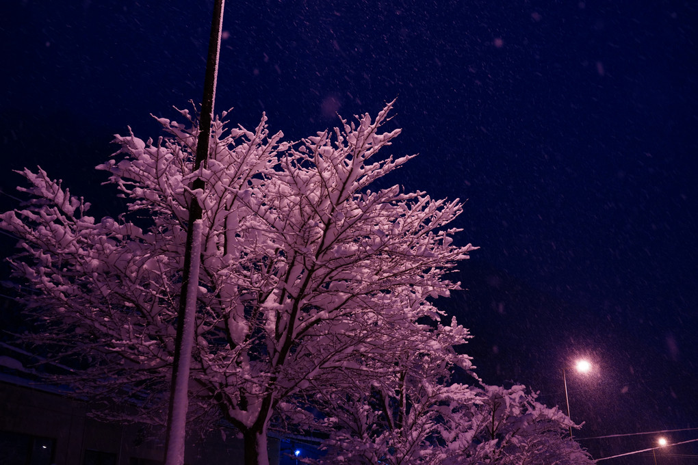 雪ふる夜
