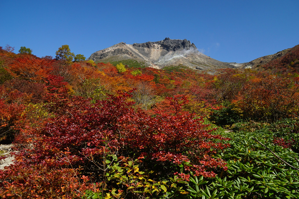 紅葉と茶臼岳
