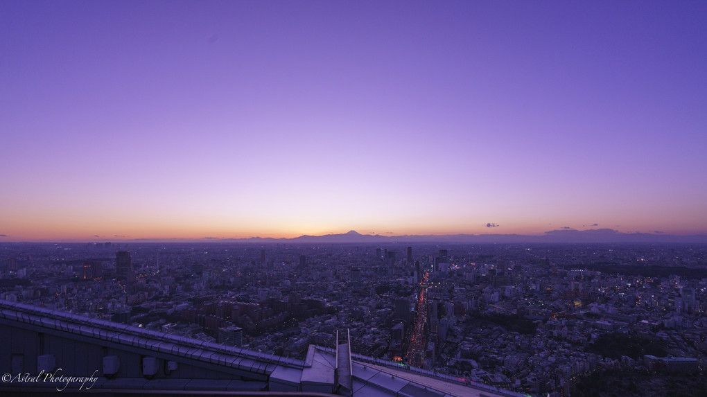 Twilight View From The Tokyo Sky Deck