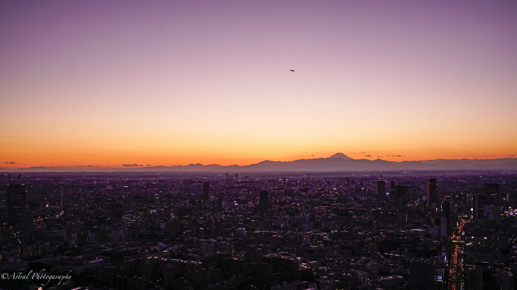 Twilight View From The Tokyo Sky Deck Ⅳ