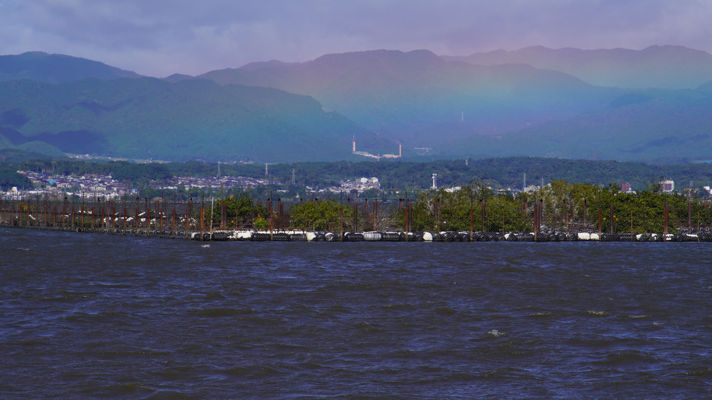 向岸の虹🌈とサギの飛翔