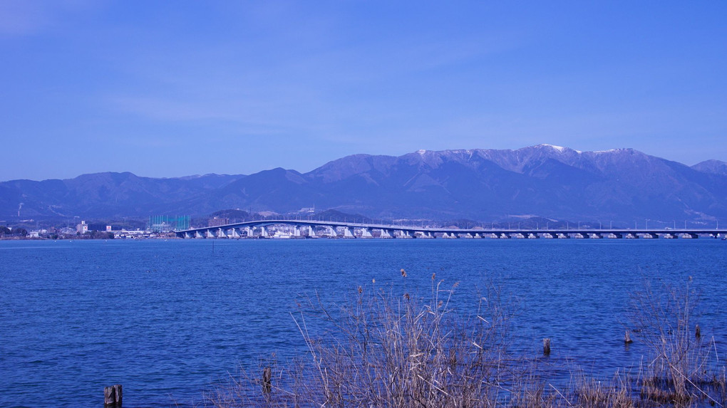 琵琶湖 春の始動