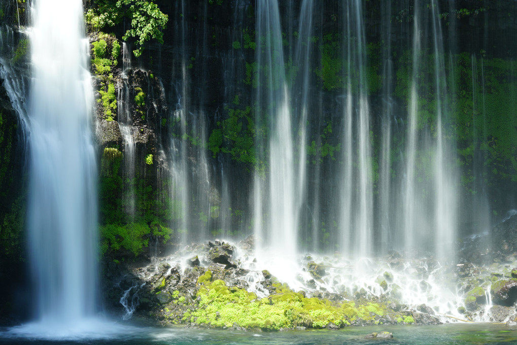白糸の滝 IN 静岡