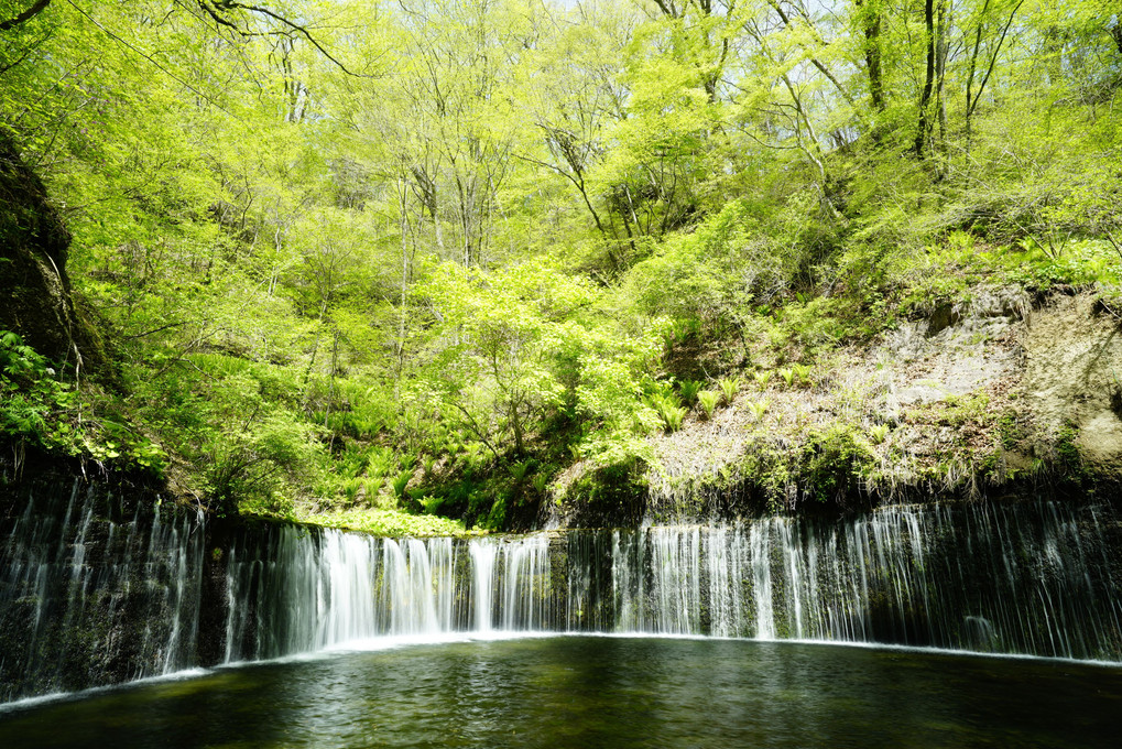 白糸の滝 IN 長野