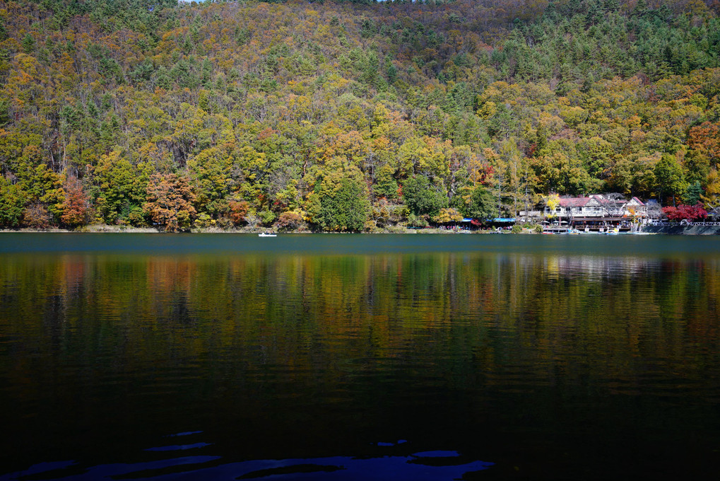 四尾連湖の紅葉