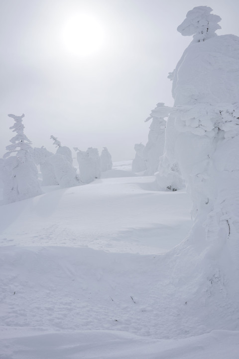 初めての積雪登山～地蔵山へ～