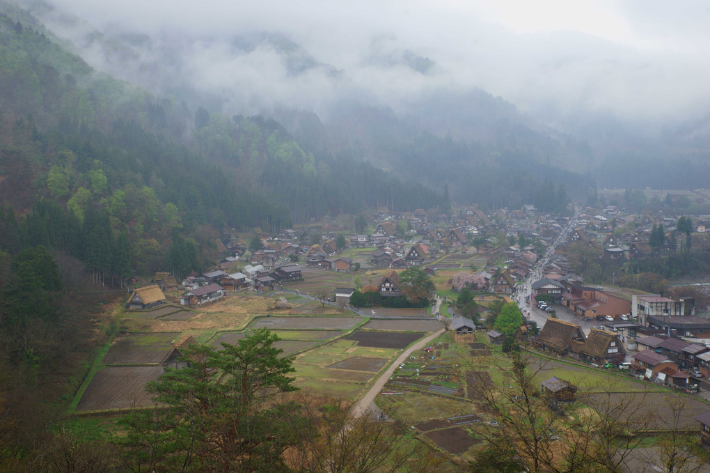 雨の白川郷