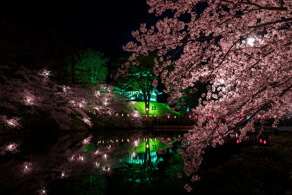 夜桜に魅せられ