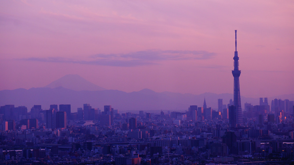 都会、ときどき富士山。