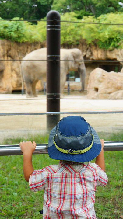【α体験会】はじめての一眼 ～親子で楽しむ動物園お子さま写真撮影会～