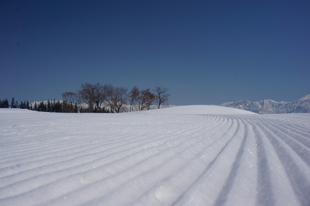 しましま雪道