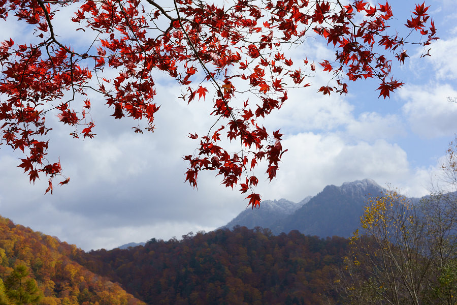 冠雪の高妻山と紅葉