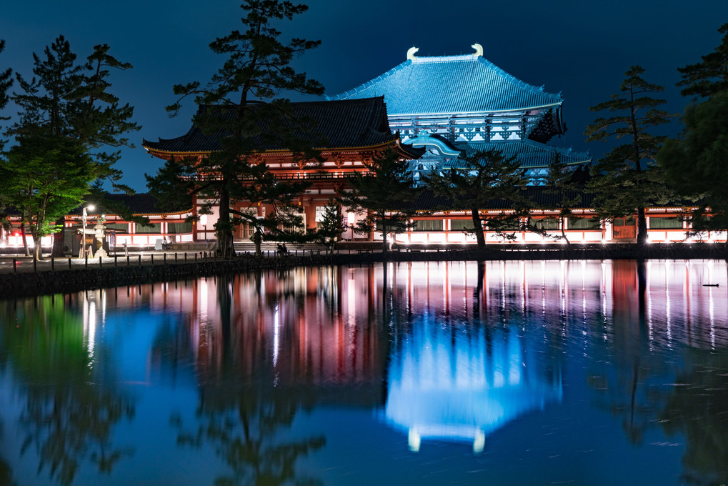 古都の野に咲く想いの灯