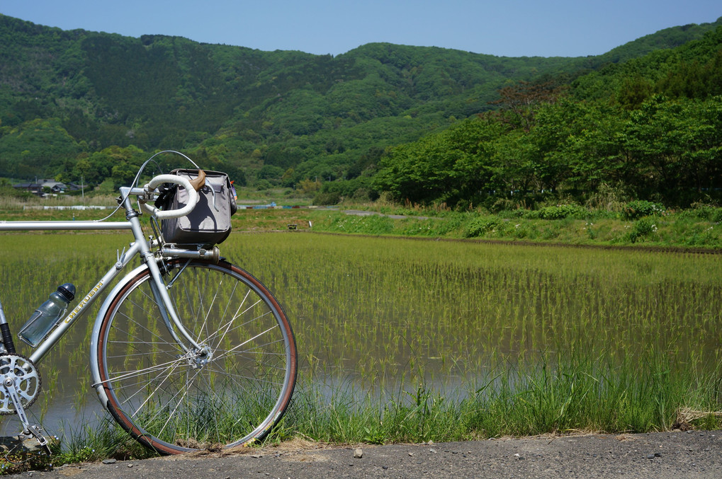 新緑の峠越え