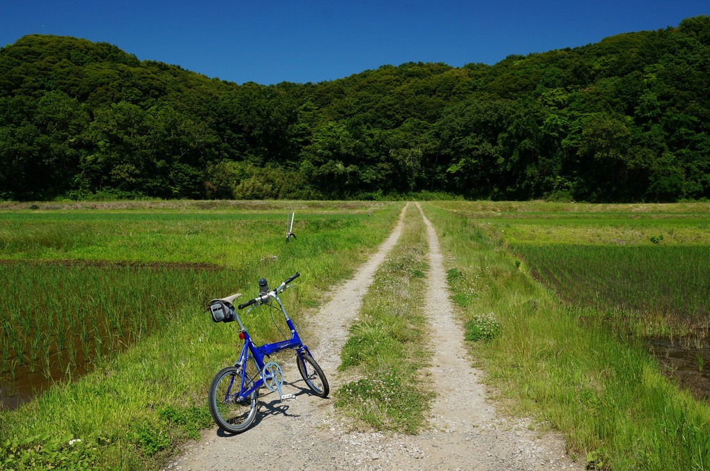 茨城の農村自転車散歩