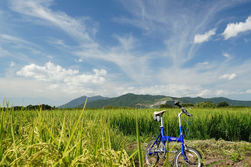 夏の田園自転車散歩