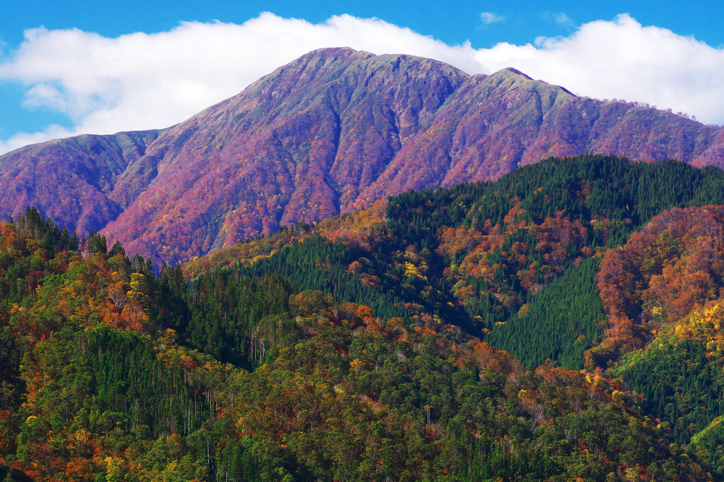 百名山の秋 荒島岳