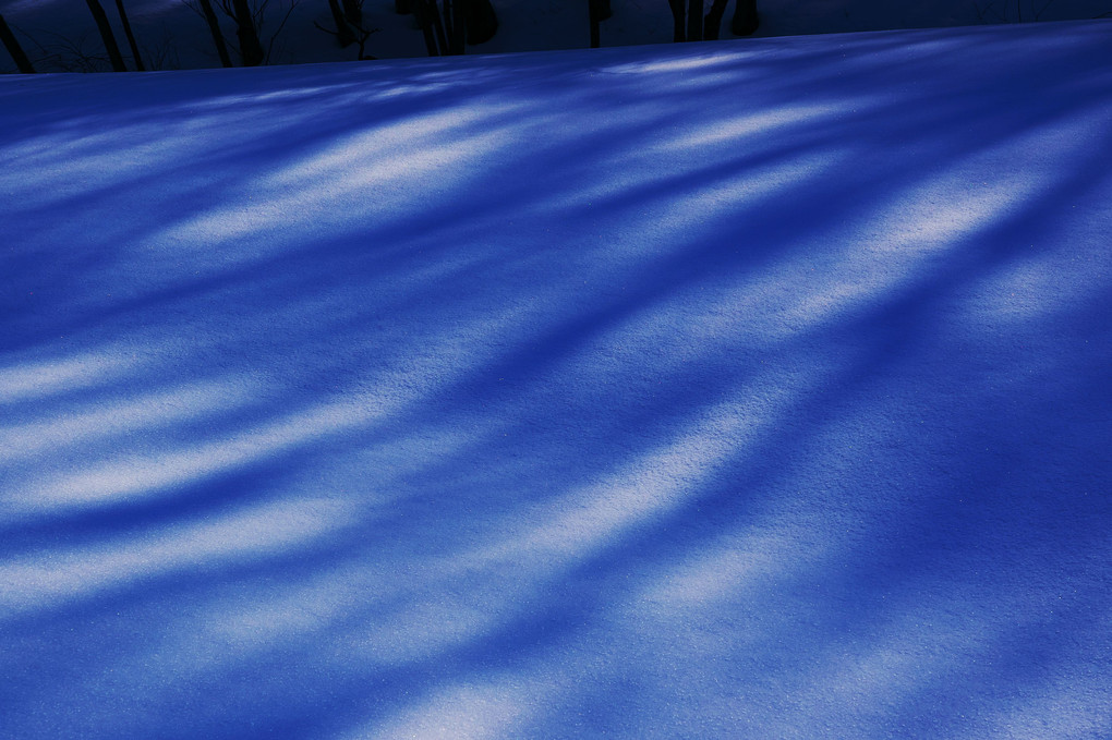 Light and shadow on the snow Ⅱ