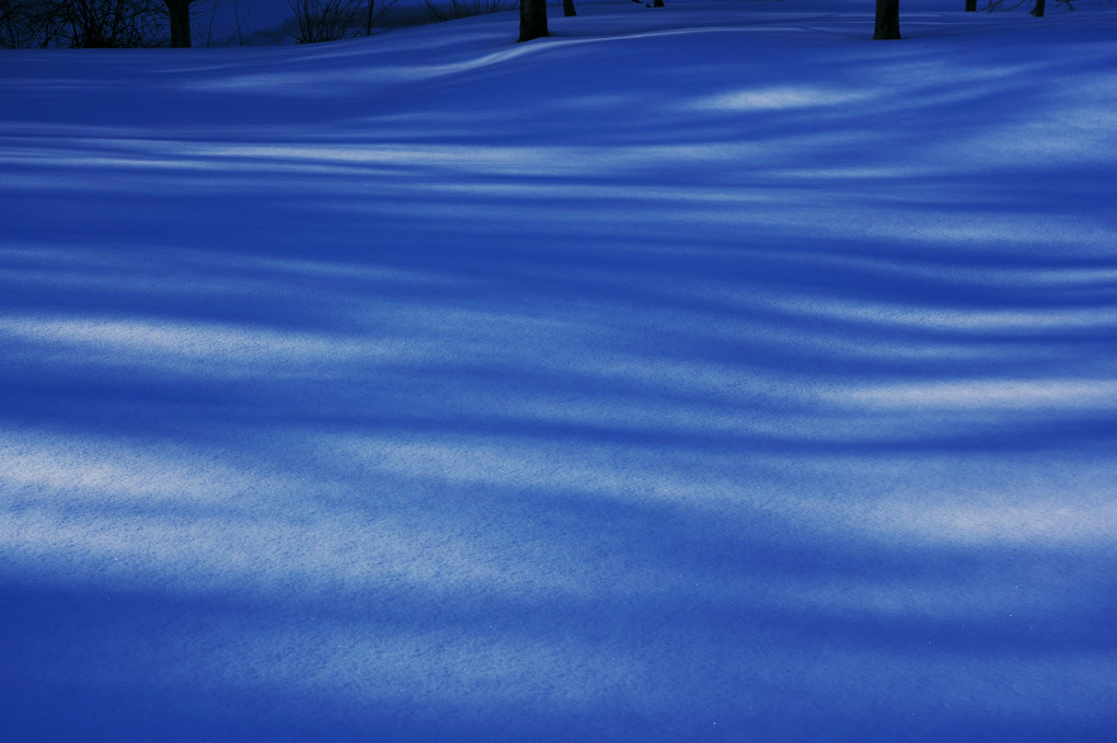 Light and shadow on the snow Ⅱ