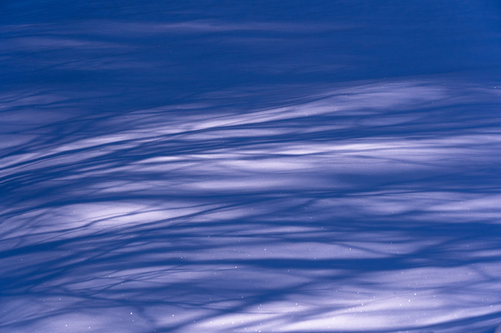 Light and shadow on the snow