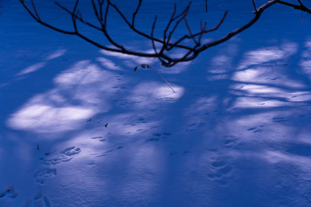 Light and shadow on the snow